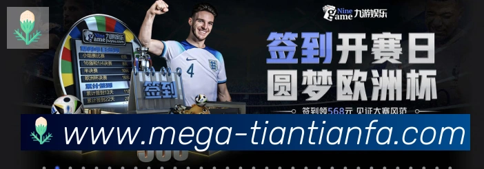 奖项证书